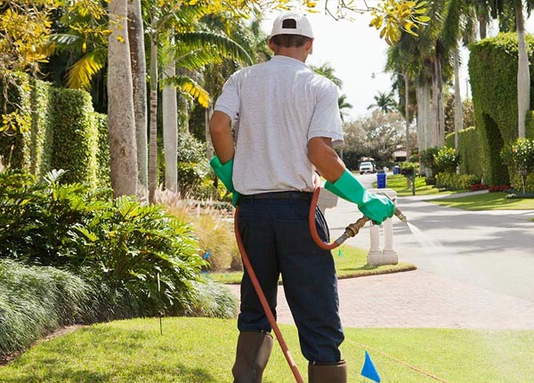 About Savoy IL Pest Control